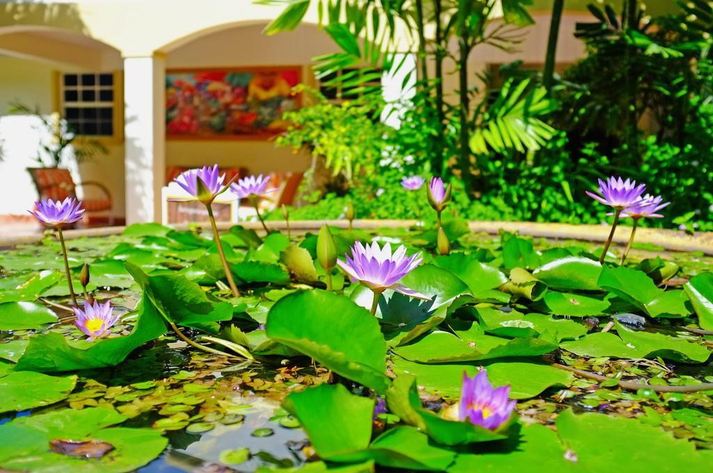 Blue Horizons Garden Resort St. George's Exterior foto
